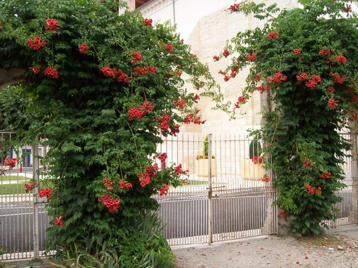 Chateau La Gentilhommiere Du Puits Notre-Dame 30 Rue De L'Eglise 24110 Saint Leon Sur L'Isle Екстериор снимка